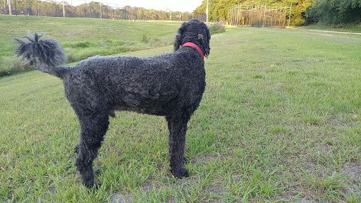 Park «Sanlando Park», reviews and photos, 401 W Highland St, Altamonte Springs, FL 32714, USA