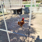 Photo n°1 de l'avis de Mario.o fait le 03/09/2021 à 22:27 sur le  Country House Nonno Andrea à Limatola