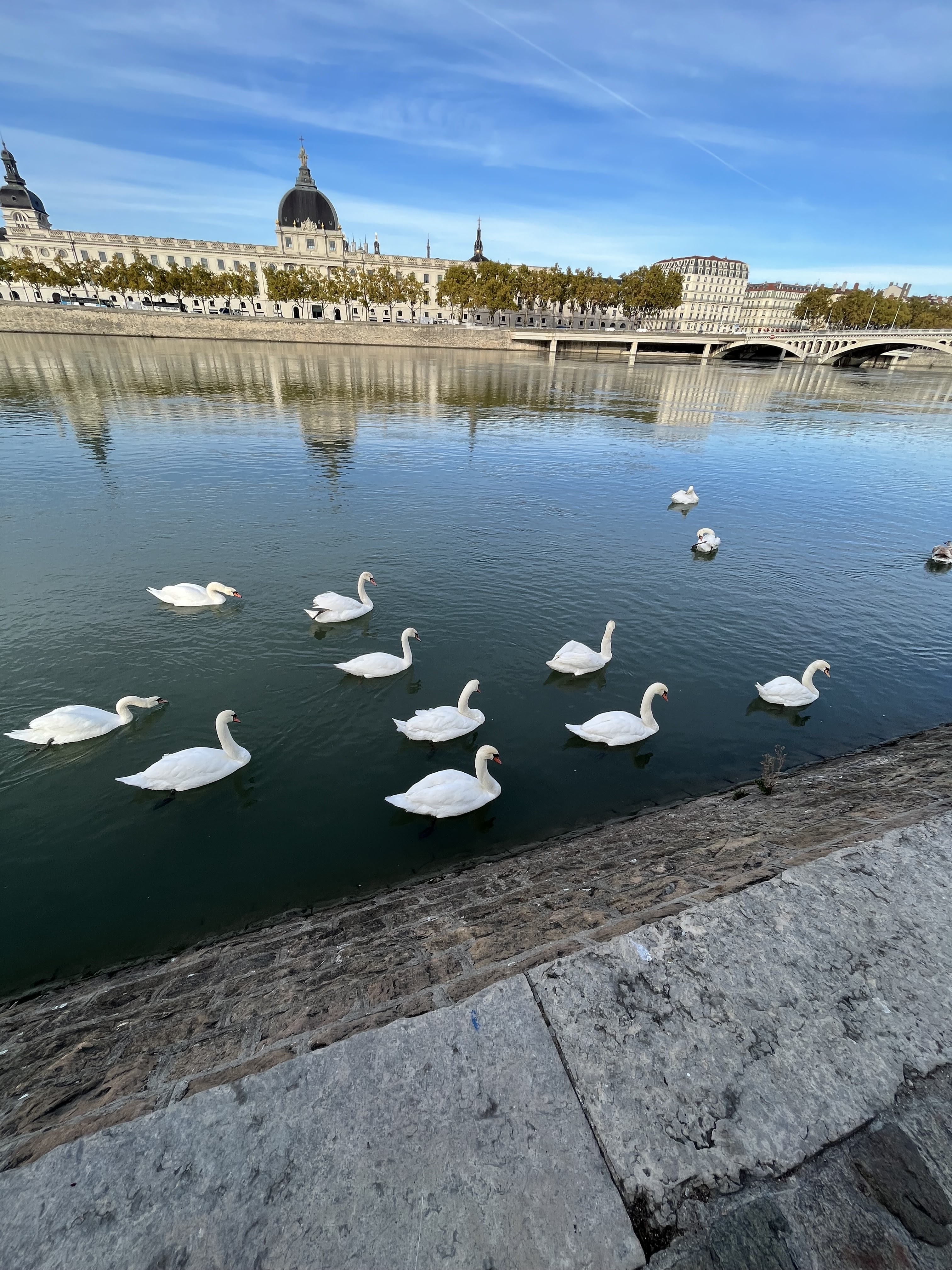 Photo n° 6 de l'avis de Clément.a fait le 02/11/2022 à 20:52