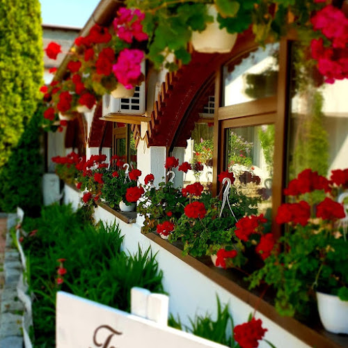 Restaurant Taverna Transilvania - Restaurant