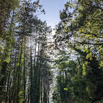 Photo n°3 de l'avis de Andra.i fait le 17/08/2021 à 21:30 sur le  Ristorante La Pineta da Peppino à Torricella In Sabina