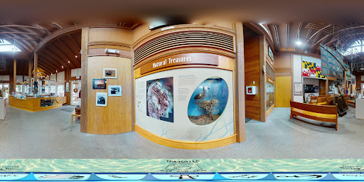 Tourist Attraction «Smith Island Cultural Center», reviews and photos, 20846 Caleb Jones Rd, Ewell, MD 21824, USA
