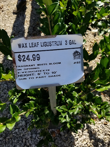 Plant Nursery «Guerin Nursery and Boutique», reviews and photos, 1418 Fall Creek Hwy, Granbury, TX 76049, USA