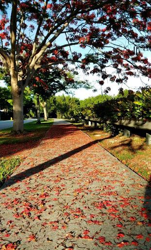 Park «Morgan Levy Park», reviews and photos, 5300 NW 102nd Ave, Doral, FL 33178, USA
