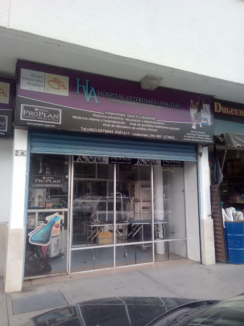 Hospital veterinario ángeles