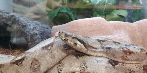 Pet Supply Store «Petco Animal Supplies», reviews and photos, 513 S Mason Rd, Katy, TX 77450, USA