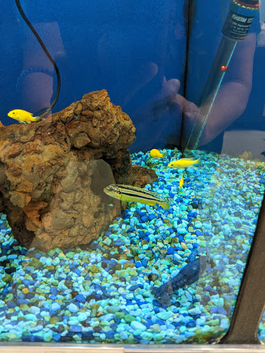 Pet Supply Store «Petco Animal Supplies», reviews and photos, 3464 Towne Blvd, Franklin, OH 45005, USA