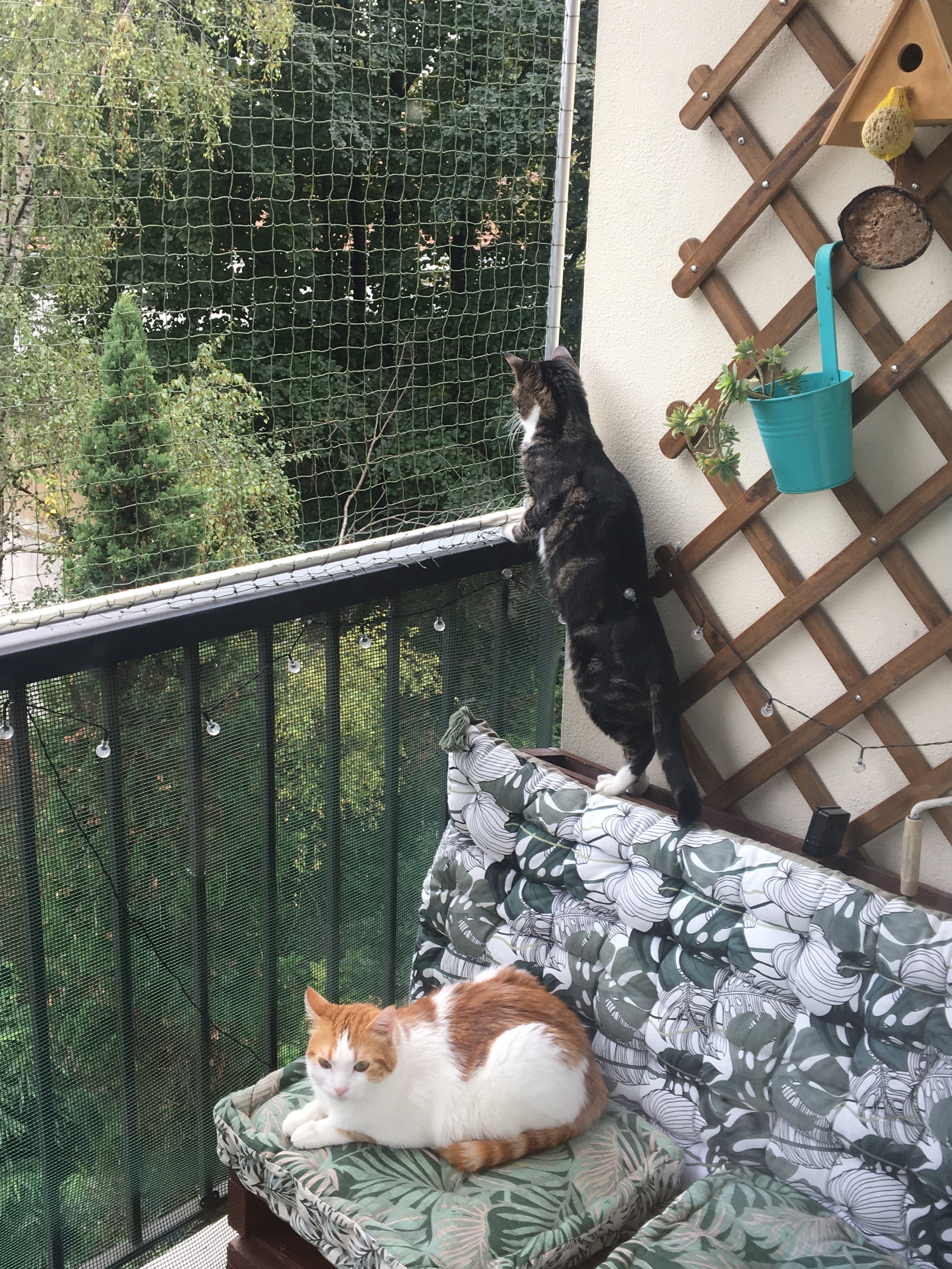 Photo n° 1 de l'avis de Romain.a fait le 28/10/2022 à 11:45
