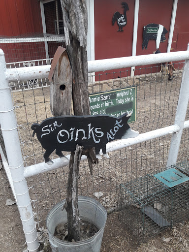 Bed & Breakfast «Country Woods Inn», reviews and photos, 420 Grand Ave, Glen Rose, TX 76043, USA