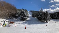 もみの木食堂(ブランシュたかやまスキー場内）