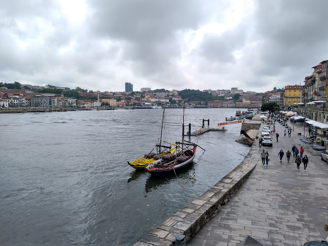 Bar Do Falcão - Porto