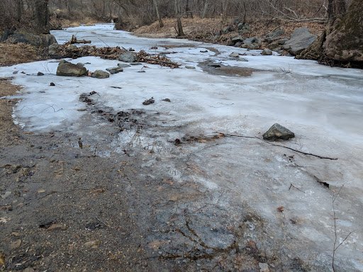 Park «Pilgrim Hill Local Park», reviews and photos, 1615 E Randolph Rd, Silver Spring, MD 20904, USA