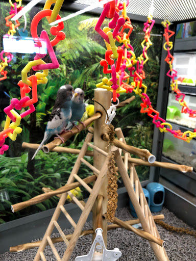 Pet Supply Store «Petco Animal Supplies», reviews and photos, 1255 Raritan Rd #140, Clark, NJ 07066, USA