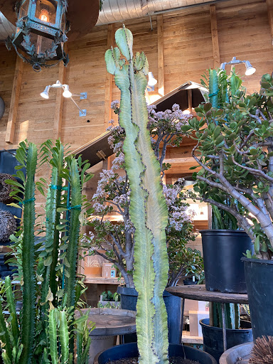 Garden Center «Terrain», reviews and photos, 561 Post Rd E, Westport, CT 06880, USA