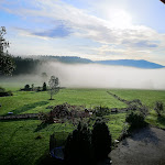 Photo n°1 de l'avis de TBAZombie. fait le 13/08/2021 à 10:27 sur le  Bärenhof Restaurant à Philippsreut