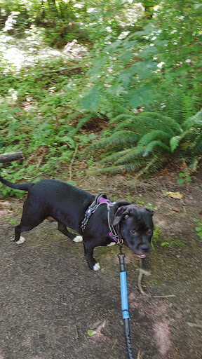 Park «Morrill Meadows Park», reviews and photos, 10600 SE 248th St, Kent, WA 98030, USA