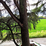 Photo n°6 de l'avis de Bruno.o fait le 30/09/2020 à 07:37 sur le  Hotel Tuscolano à Bologna