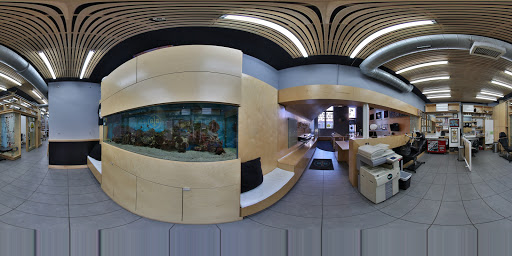 Body Piercing Shop «Big Brain», reviews and photos, 1123 Jackson St, Omaha, NE 68102, USA