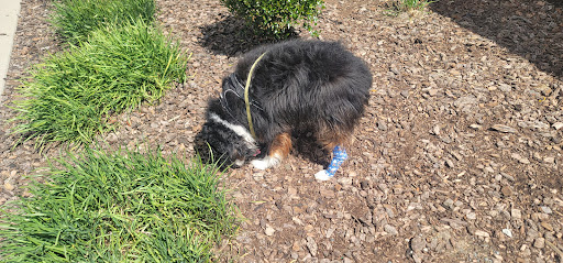 Veterinary Emergency Group image