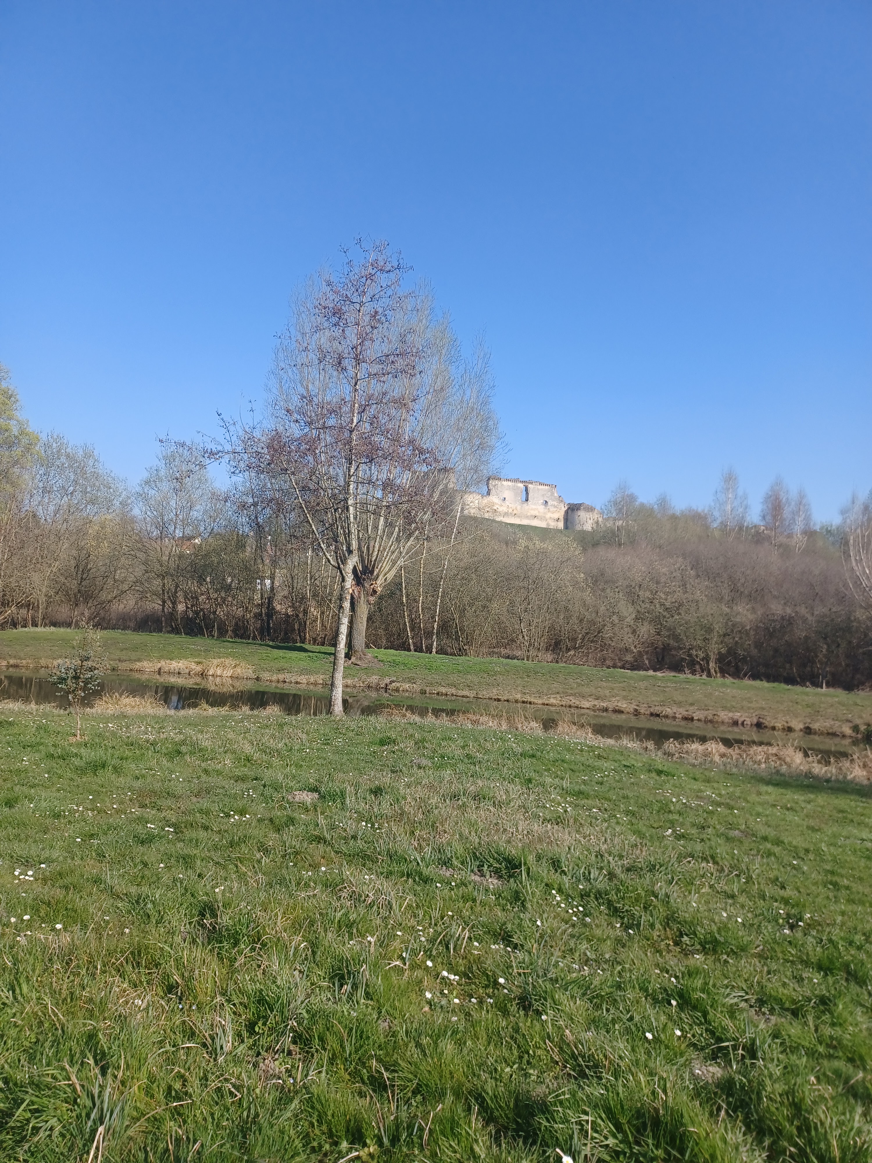Photo n° 1 de l'avis de Amand.n fait le 01/05/2022 à 21:29