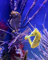 Epic Aquaria - Photo 2 - Car repair in Shreveport, LA, Shreveport