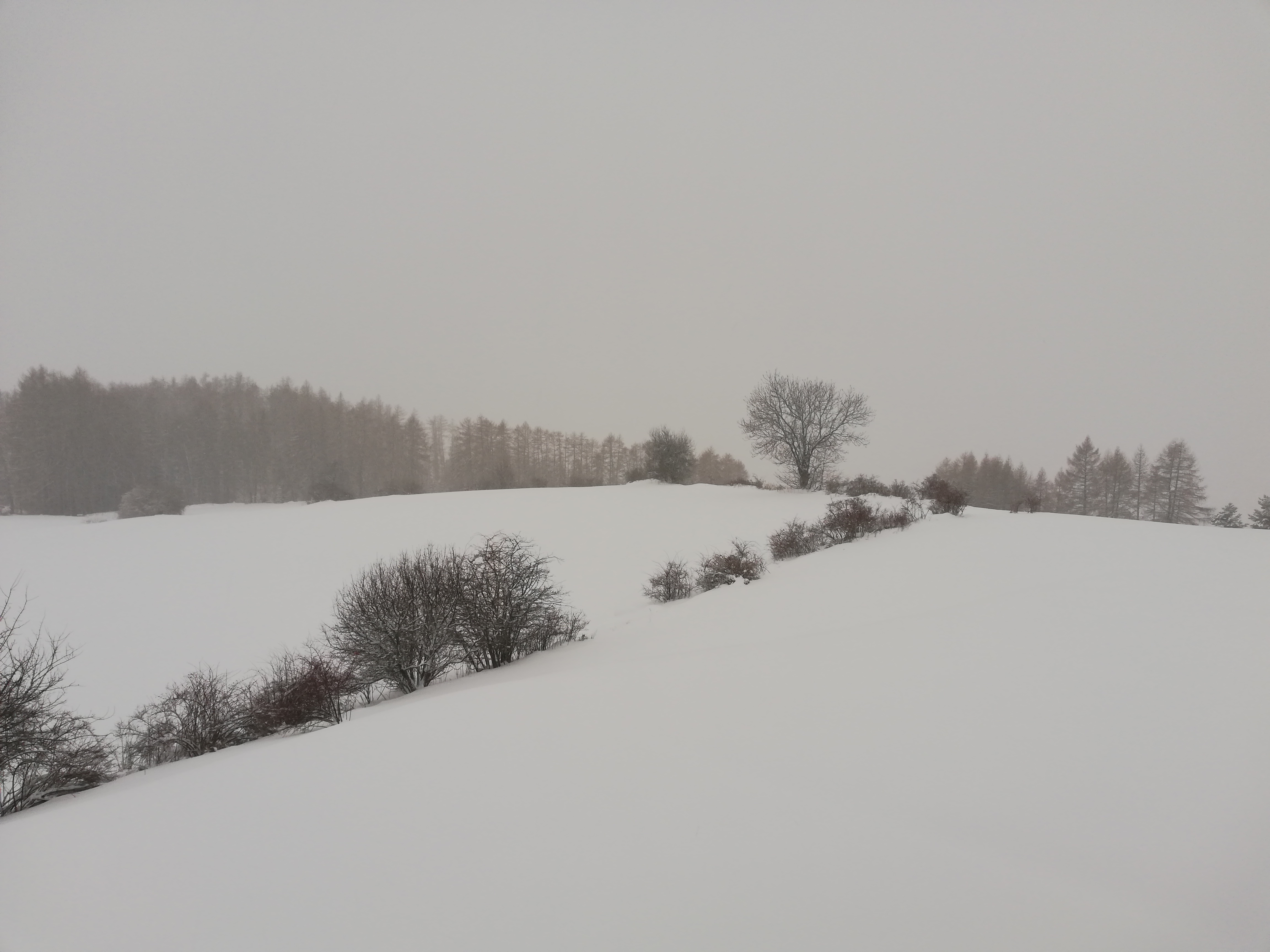 Photo n° 3 de l'avis de Aurore.A fait le 28/12/2019 à 16:43