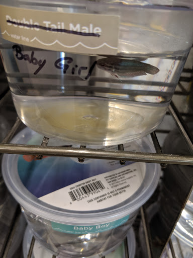 Pet Supply Store «Petco Animal Supplies», reviews and photos, 1215-1309 NJ-33 #1, Hamilton Township, NJ 08690, USA