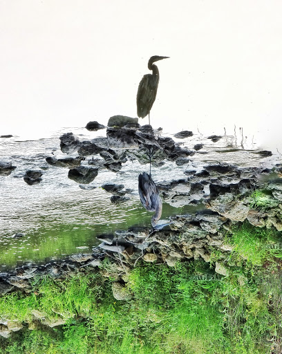 Nature Preserve «Buffalo Creek Forest Preserve», reviews and photos, 18163 W Checker Rd, Long Grove, IL 60047, USA