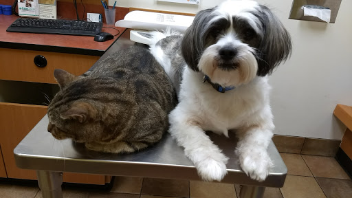 Pet Supply Store «PetSmart», reviews and photos, 1157 E North Ave, Belton, MO 64012, USA