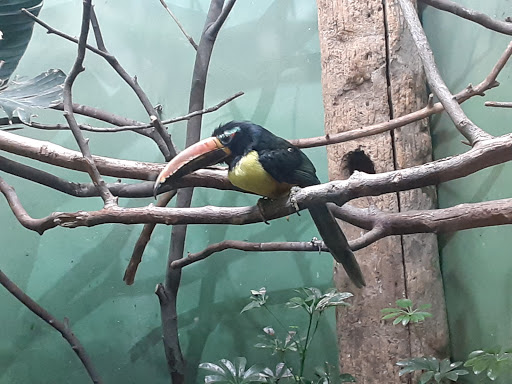 Zoo «Prospect Park Zoo», reviews and photos, 450 Flatbush Ave, Brooklyn, NY 11225, USA