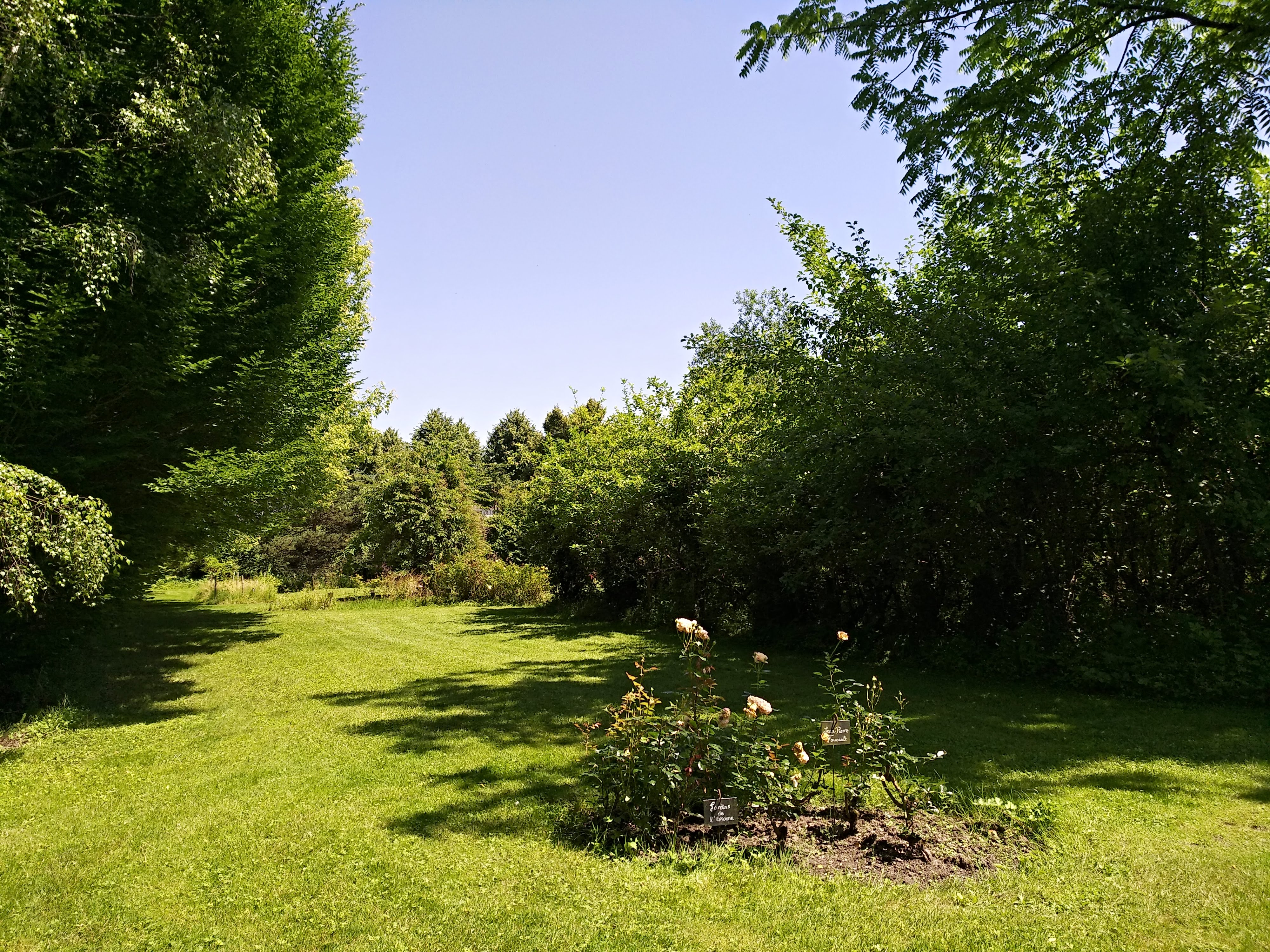 Photo n° 25 de l'avis de Ronald.o fait le 28/06/2018 à 17:08