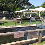 Photo n°2 de l'avis de Silvana.o fait le 30/08/2020 à 01:01 sur le  IQOS PARTNER - Ristorante La Valletta, Valmontone à Valmontone