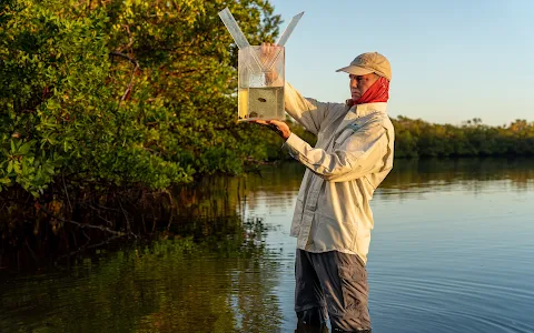 Conservancy of Southwest Florida image