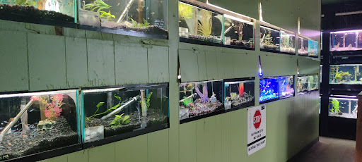 Tropical Fish Store «Fish Den Inc.», reviews and photos, 5055 W 44th Ave, Denver, CO 80212, USA