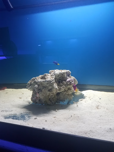 Tropical Fish Store «Hydra Aquatics International, Inc.», reviews and photos, 1300 Stirling Rd #7a, Dania Beach, FL 33004, USA
