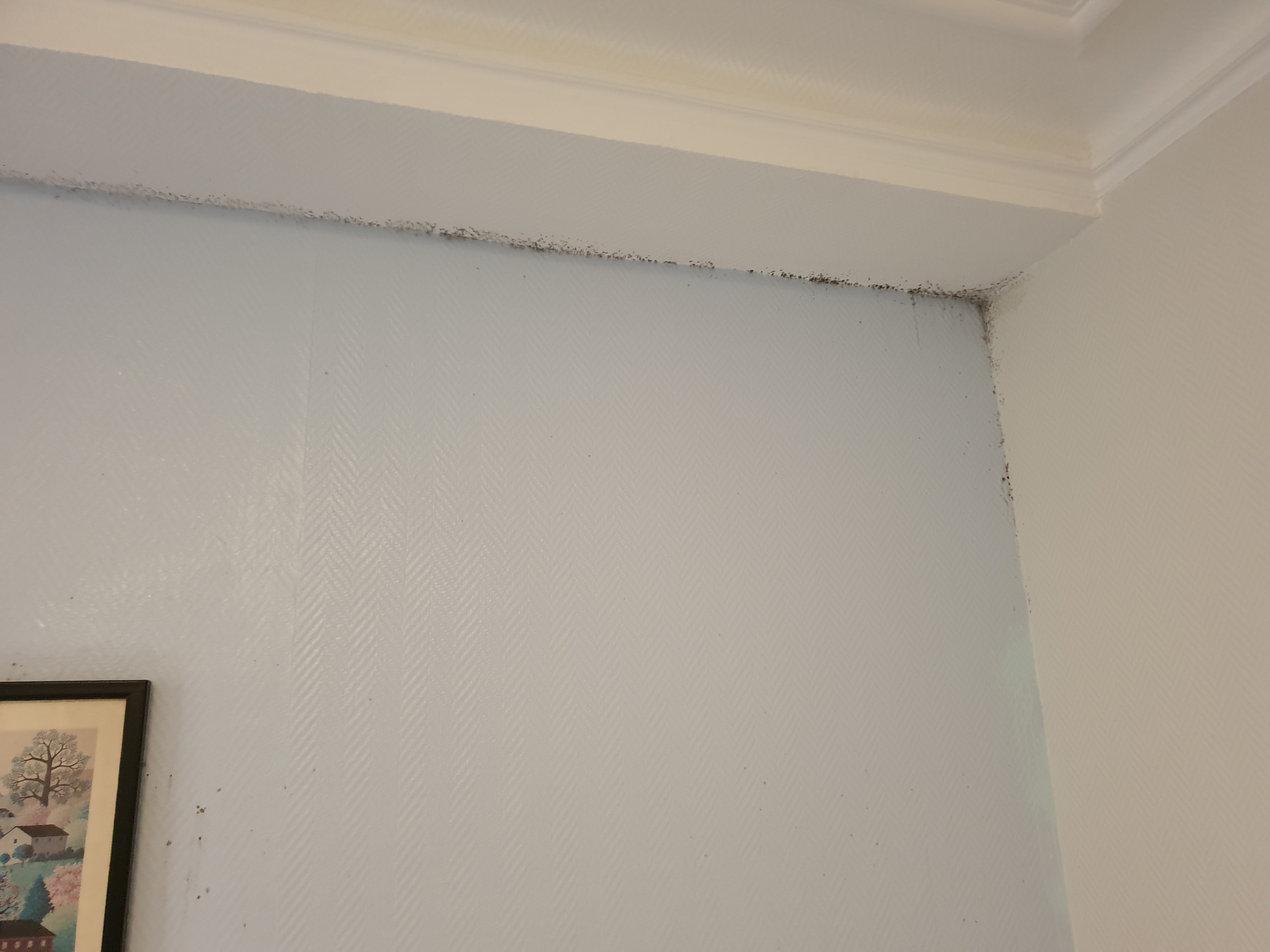 Photo n° 14 de l'avis de Johann.L fait le 07/03/2019 à 20:49