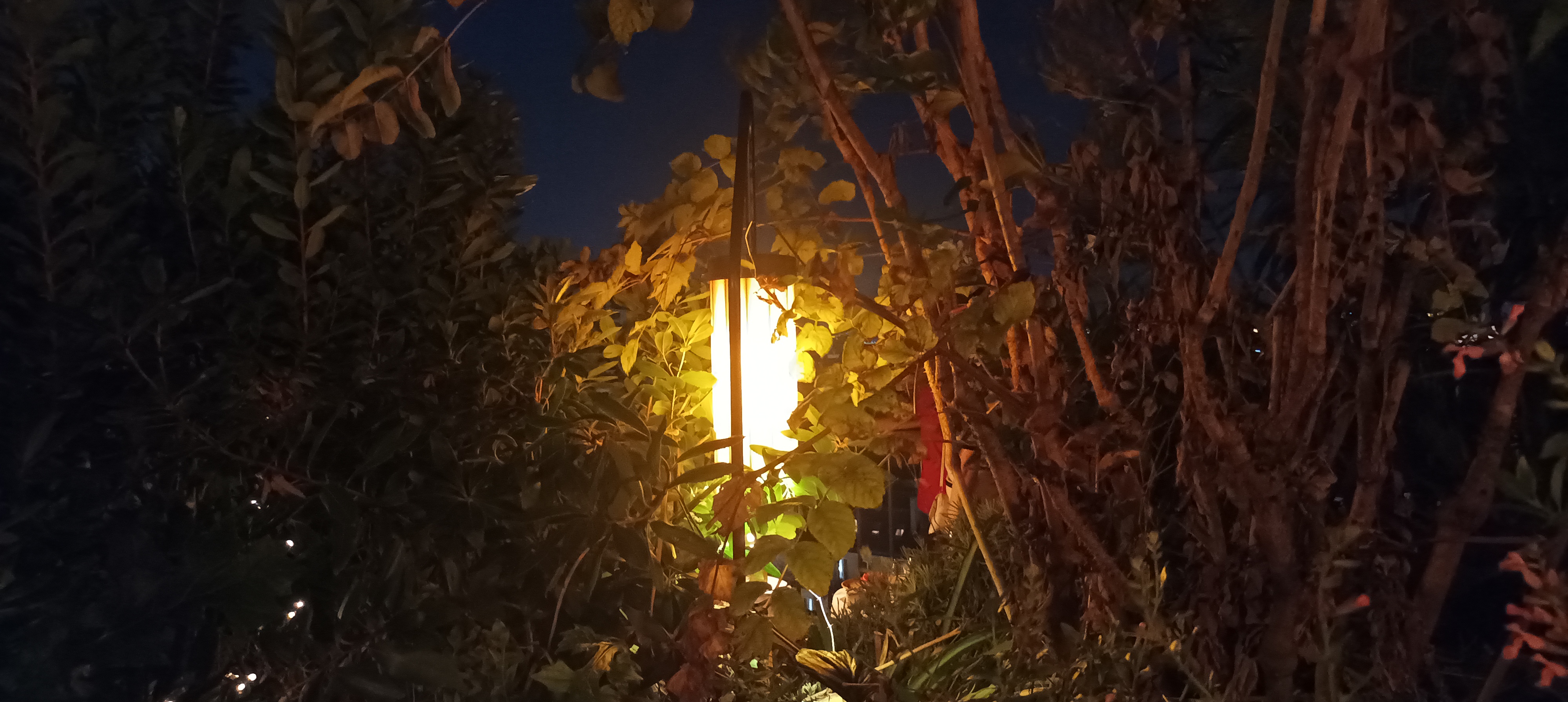 Photo n° 1 de l'avis de 49pitou. fait le 04/10/2023 à 11:33