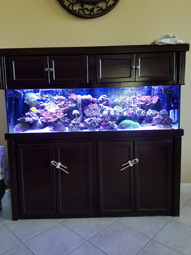 Reefs and Rainforests