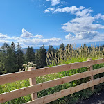 Photo n°1 de l'avis de adalgisa.i fait le 05/09/2021 à 20:18 sur le  Albergo Frommeralm à Karersee