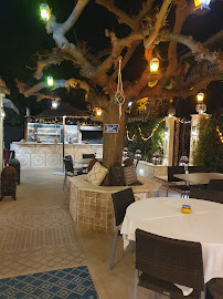 Atmosphère du Restaurant marocain Palais Sarrazin Restaurant Lounge Oriental à Biot - n°8