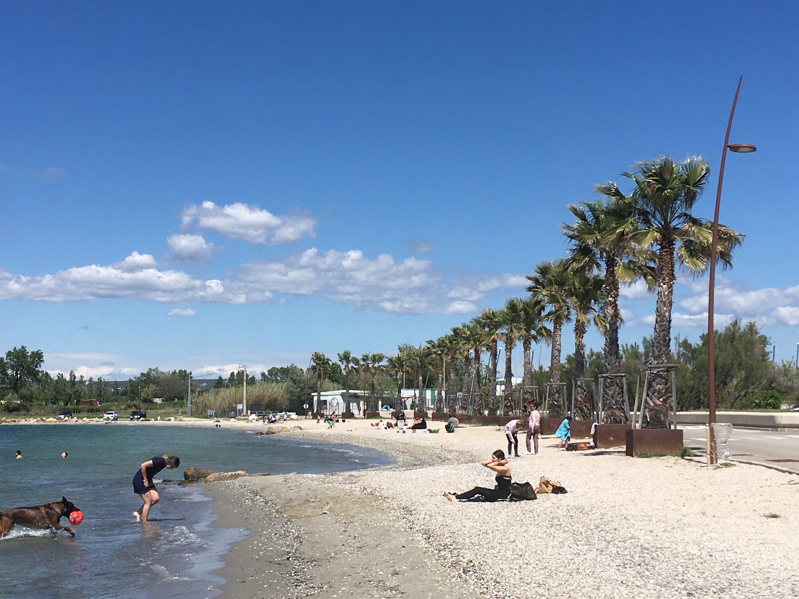Plage de Champigny'in fotoğrafı çok temiz temizlik seviyesi ile