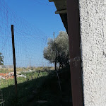 Photo n°6 de l'avis de Giulia.a fait le 01/03/2020 à 13:27 sur le  Ristorante Pizzeria Al Dollaro 2 à Carlentini