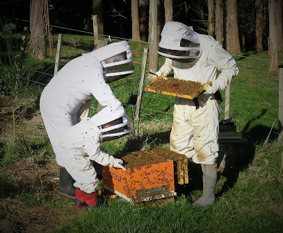 Hall Honey Bee Company