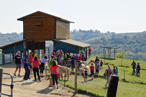 Boutique «Alpacas of the Heartland LLC», reviews and photos, 7016 County Rd 39, Fort Calhoun, NE 68023, USA