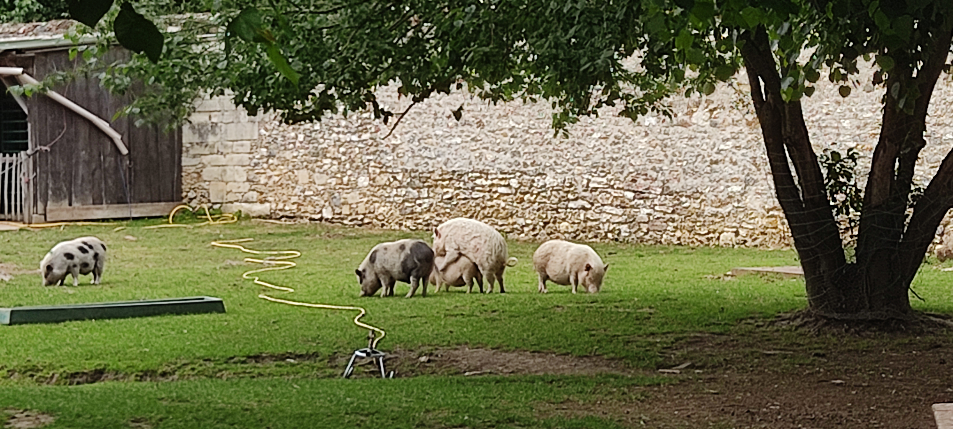 Photo n° 3 de l'avis de Thomas.O fait le 26/05/2022 à 14:48