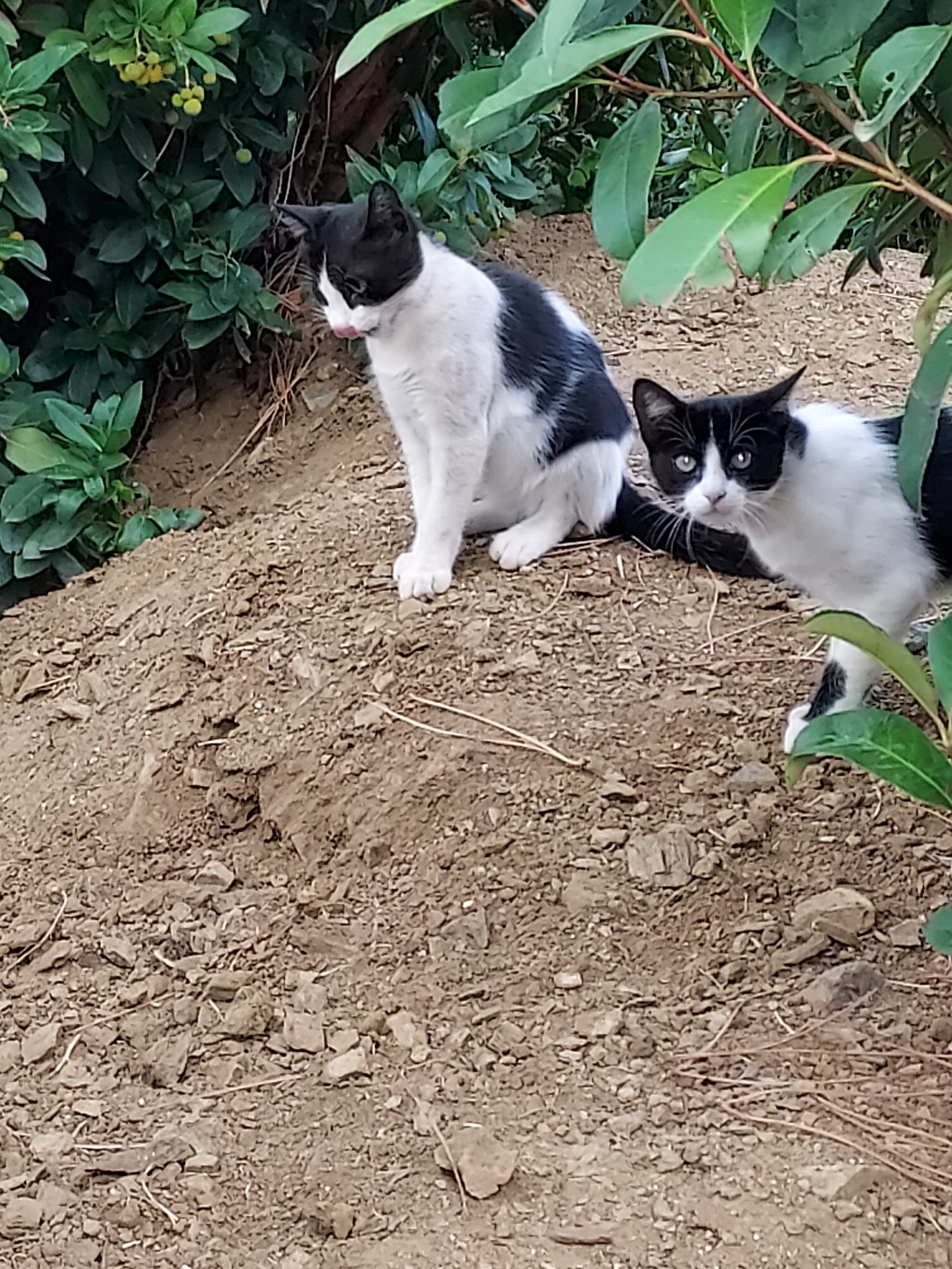 Photo n° 3 de l'avis de Alain.a fait le 13/10/2021 à 11:48