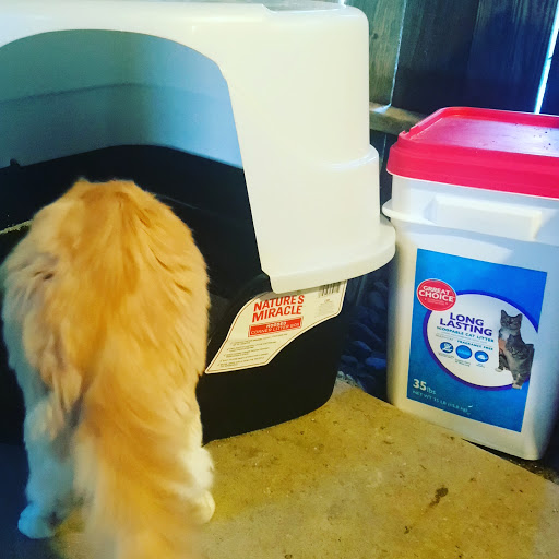 Pet Supply Store «PetSmart», reviews and photos, 3347 E Foothill Blvd, Pasadena, CA 91107, USA