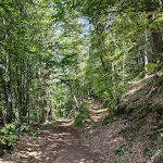 Photo n°5 de l'avis de Gabriele.� fait le 24/05/2023 à 16:05 sur le  Hotel-Restaurant Die Kleine Blume GmbH à Erfweiler