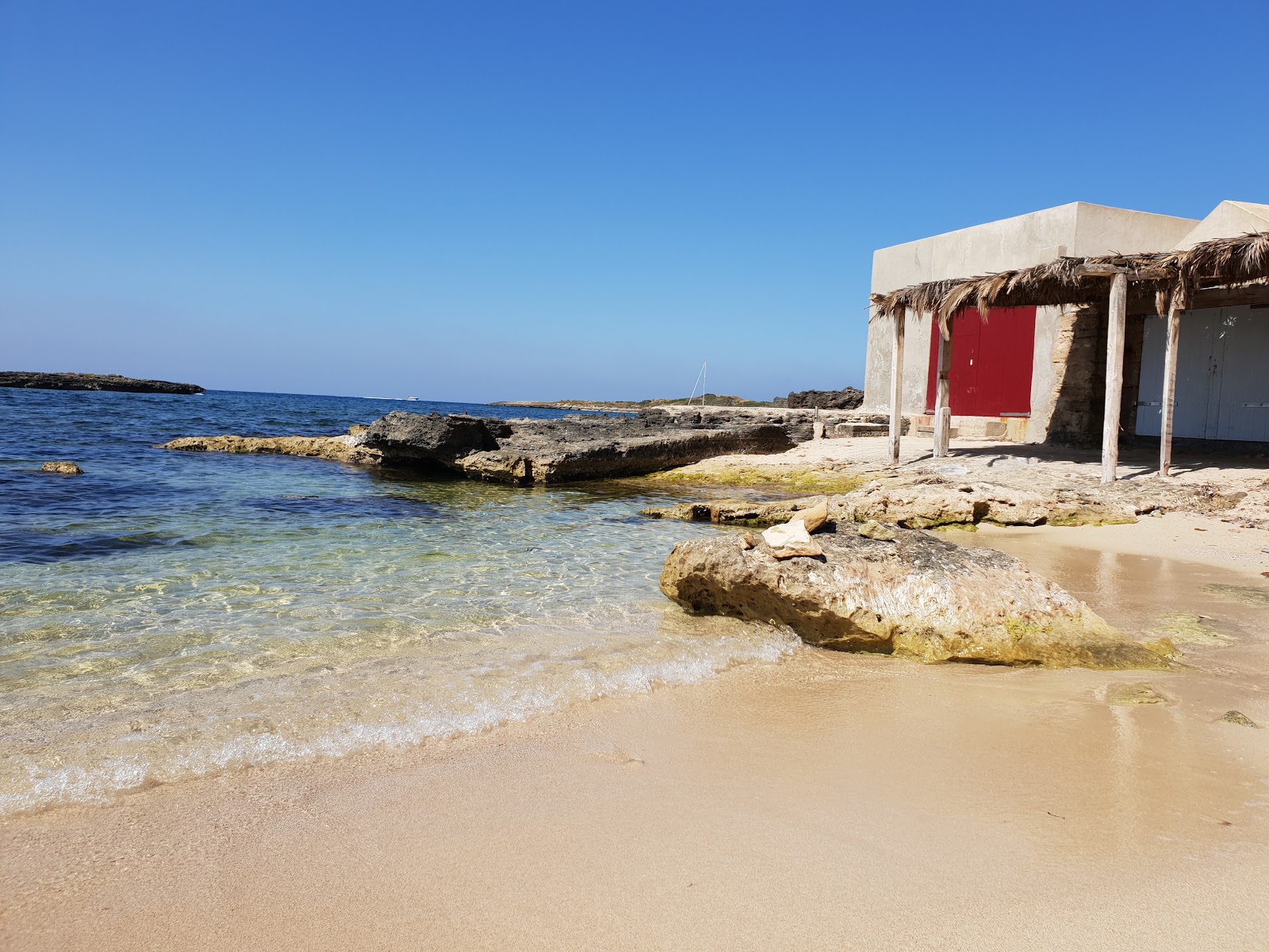 Foto von Platja de Can Curt mit sehr sauber Sauberkeitsgrad