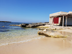 Platja de Can Curt'in fotoğrafı çok temiz temizlik seviyesi ile